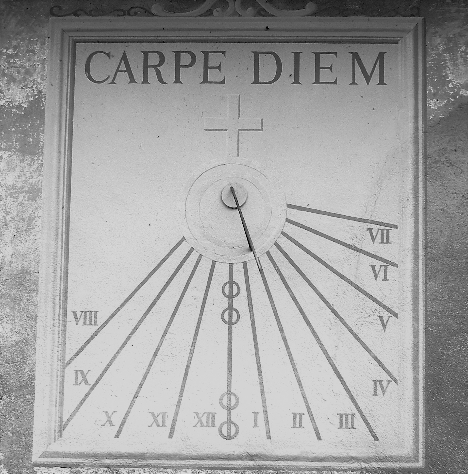 1248 CarpeDiem