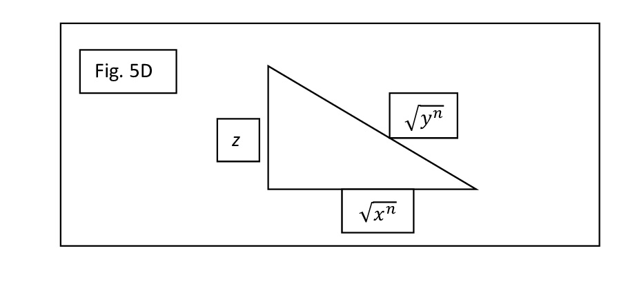 1347 Fig 5 D