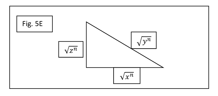 1347 Fig 5 E