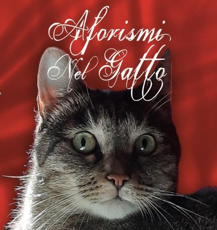 Invito alla lettura di "Aforismi nel Gatto" - di Stella Picarò