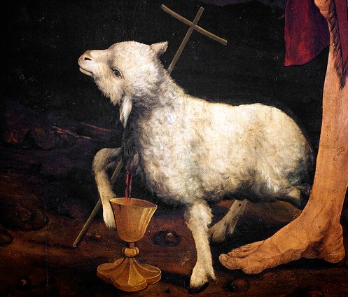 1400 4 agnello