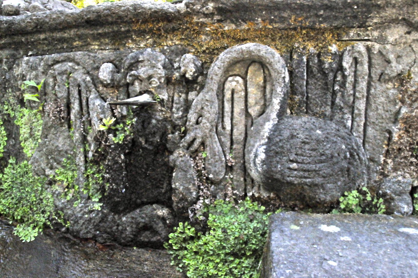 I cigni misteriosi della fontana dei Giganti