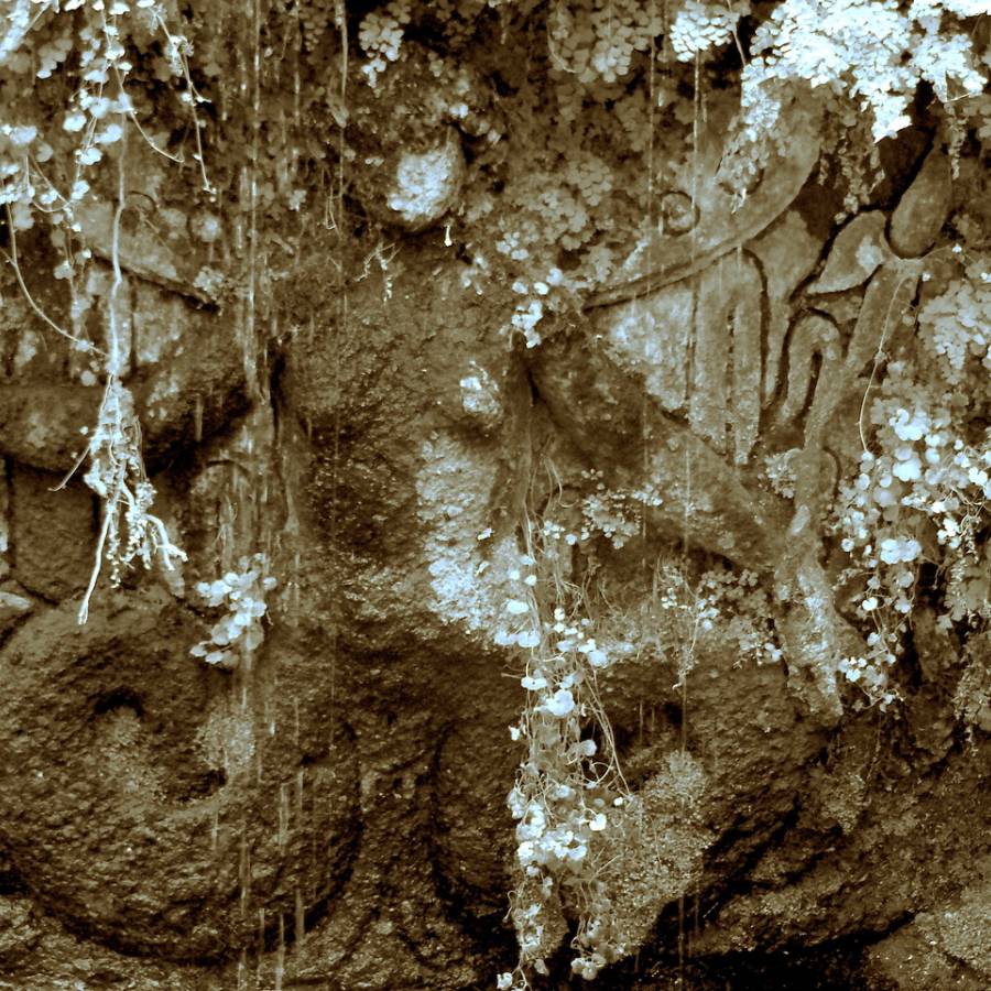 La trasparenza delle Tenebre - (di E. Albrile) 