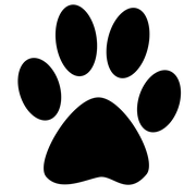 zampa gatto